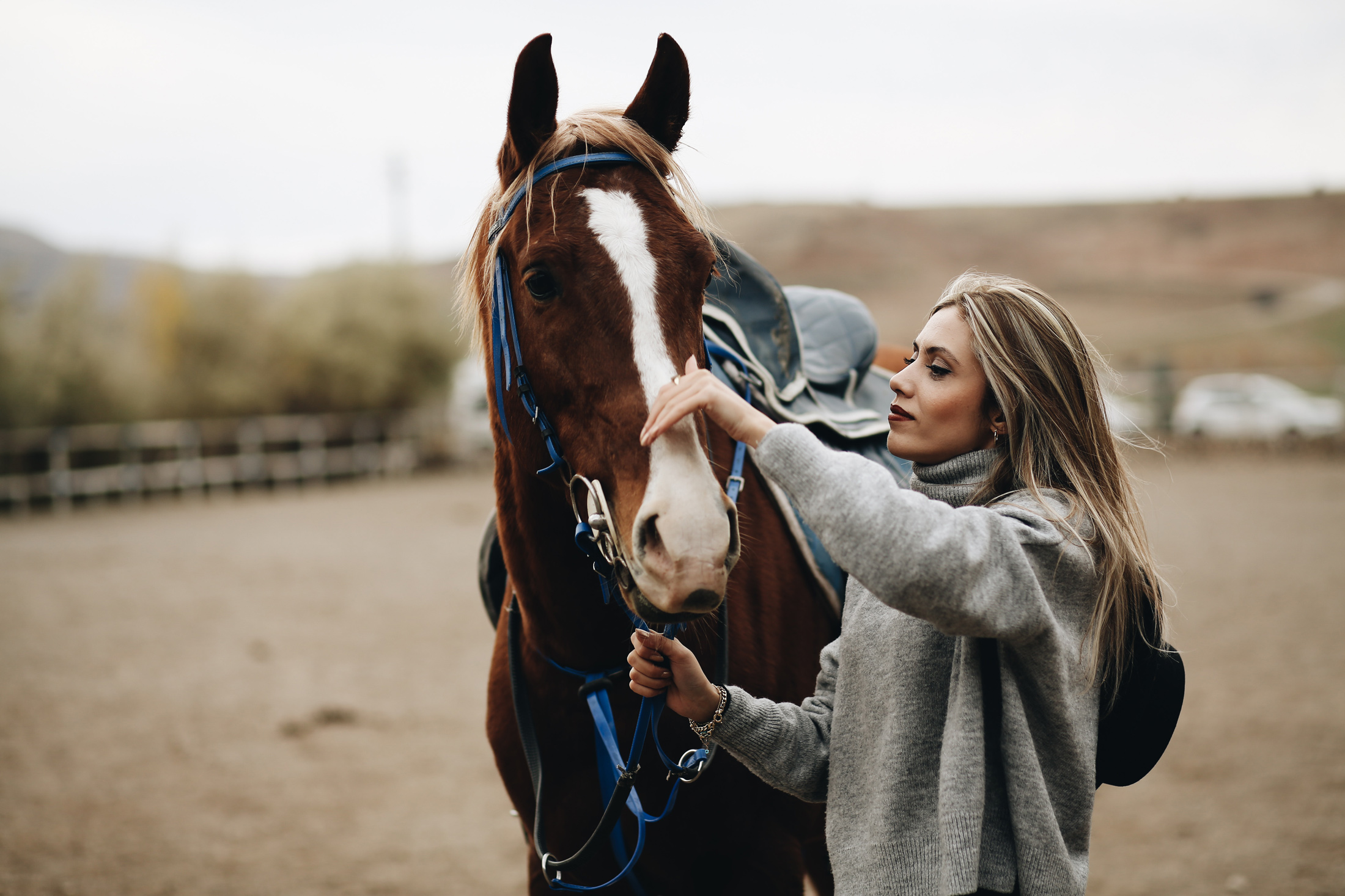 equine law