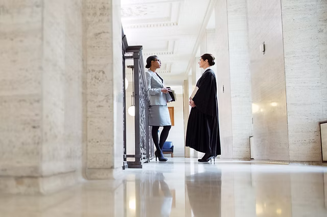 What To Expect When Working With Newcastle Family Lawyers